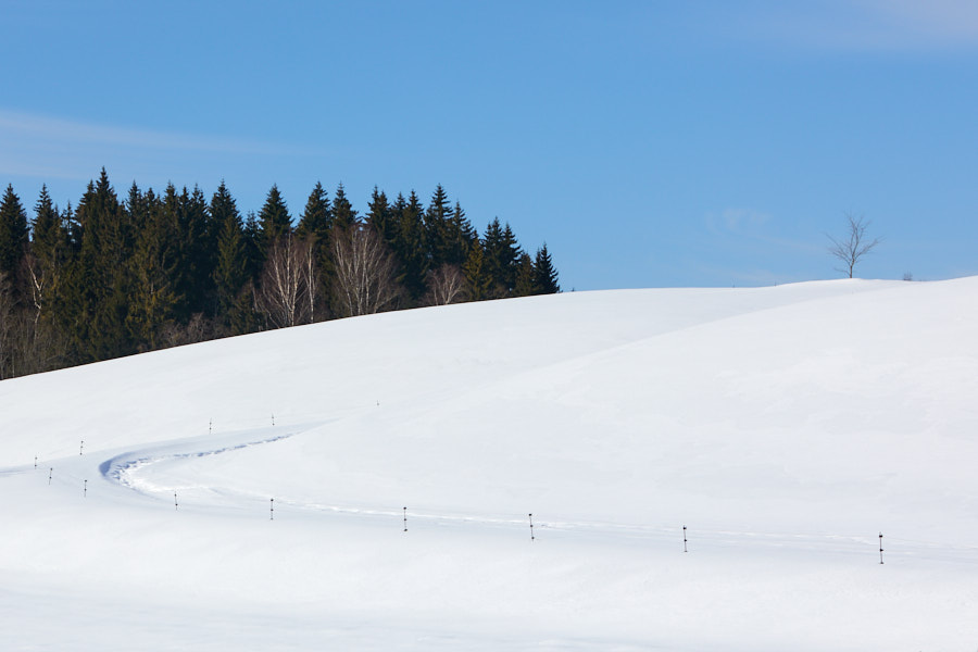 Päeva pilt Päeva pilt