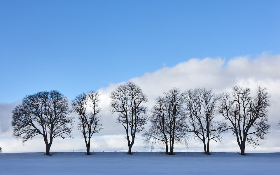 Päeva pilt Päeva pilt