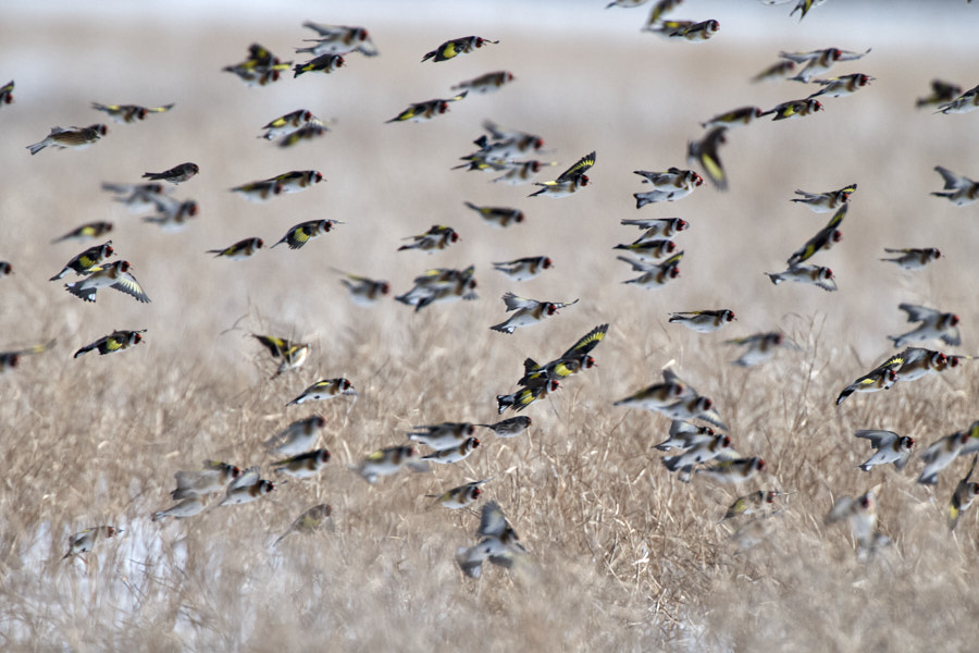 Päeva pilt Päeva pilt