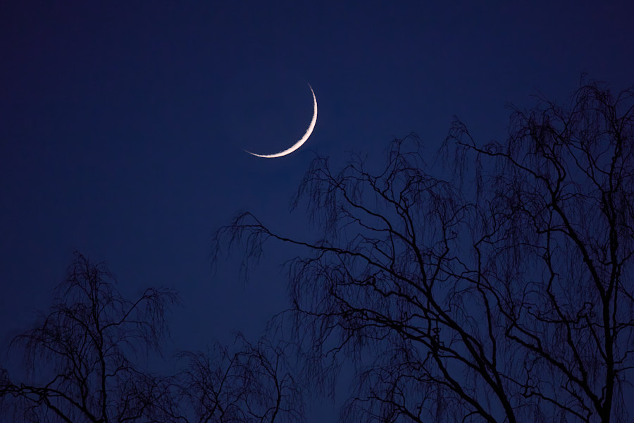 Päeva pilt Päeva pilt