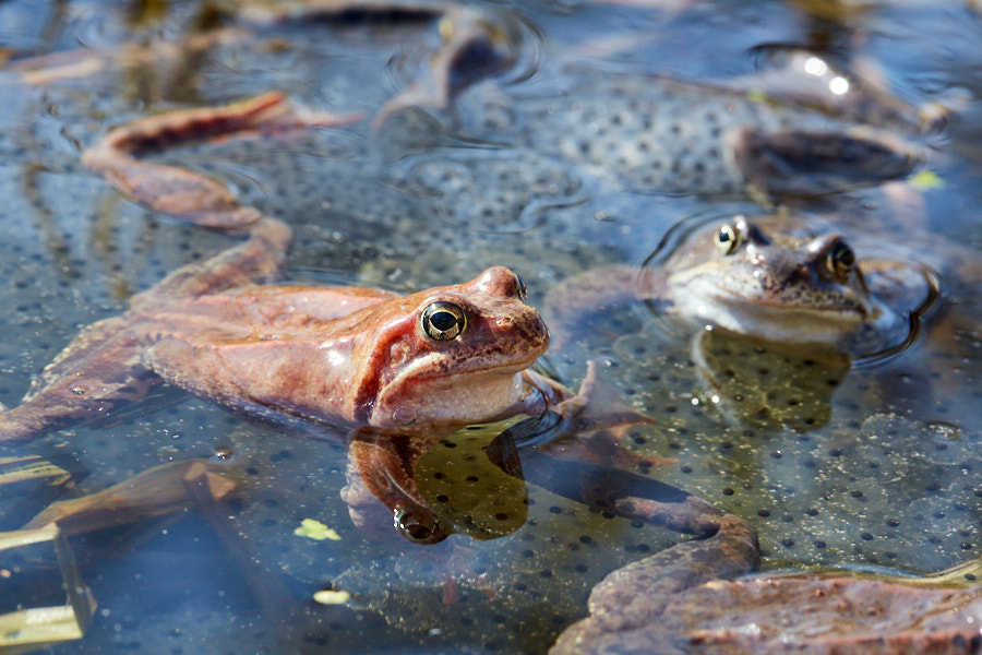 Päeva pilt Päeva pilt