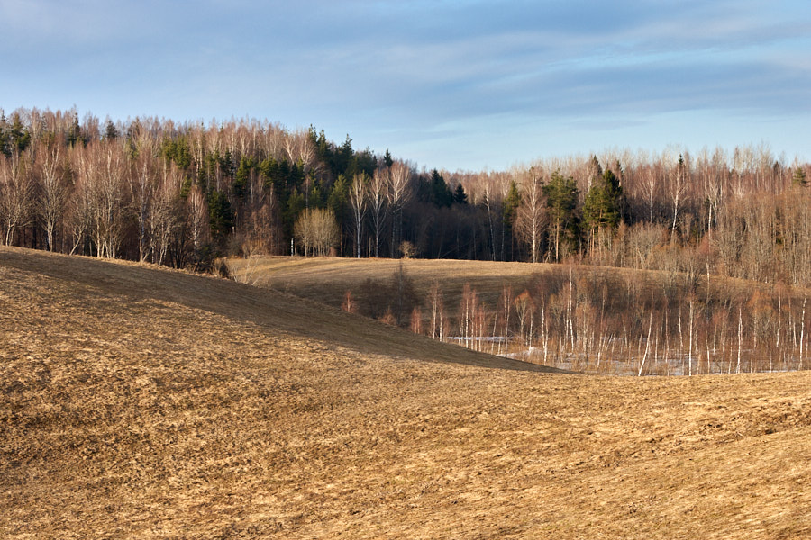 Päeva pilt Päeva pilt