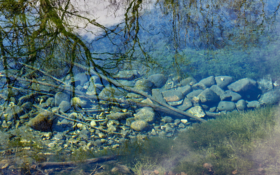 Päeva pilt Päeva pilt