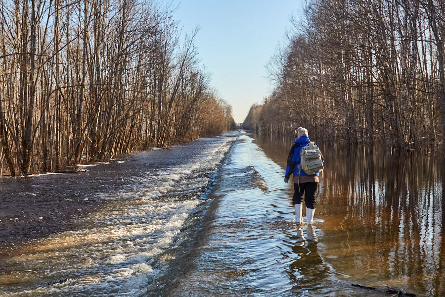 Päeva pilt Päeva pilt