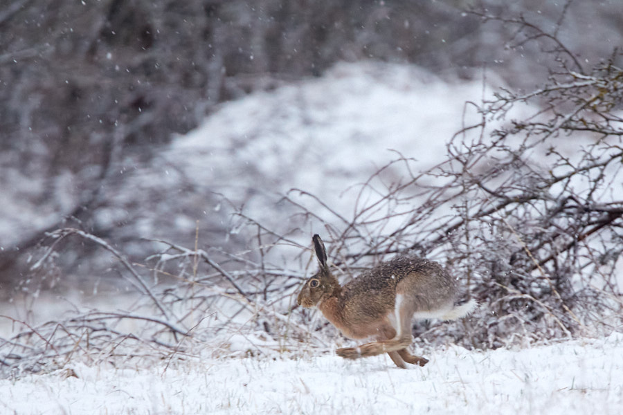Päeva pilt Päeva pilt