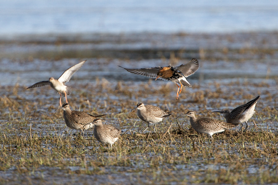 Päeva pilt Päeva pilt
