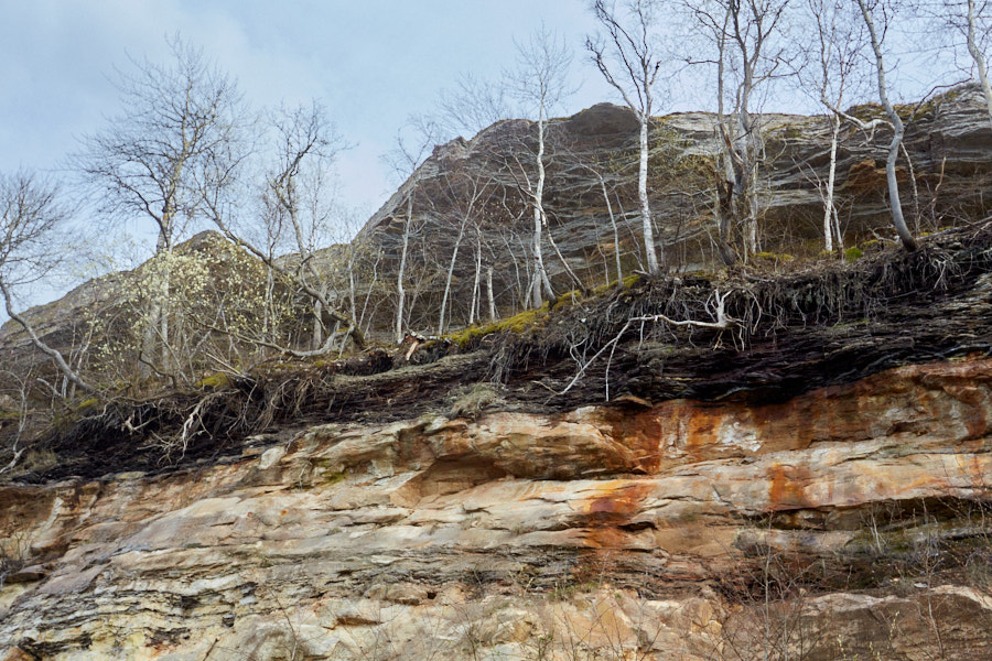 Päeva pilt Päeva pilt