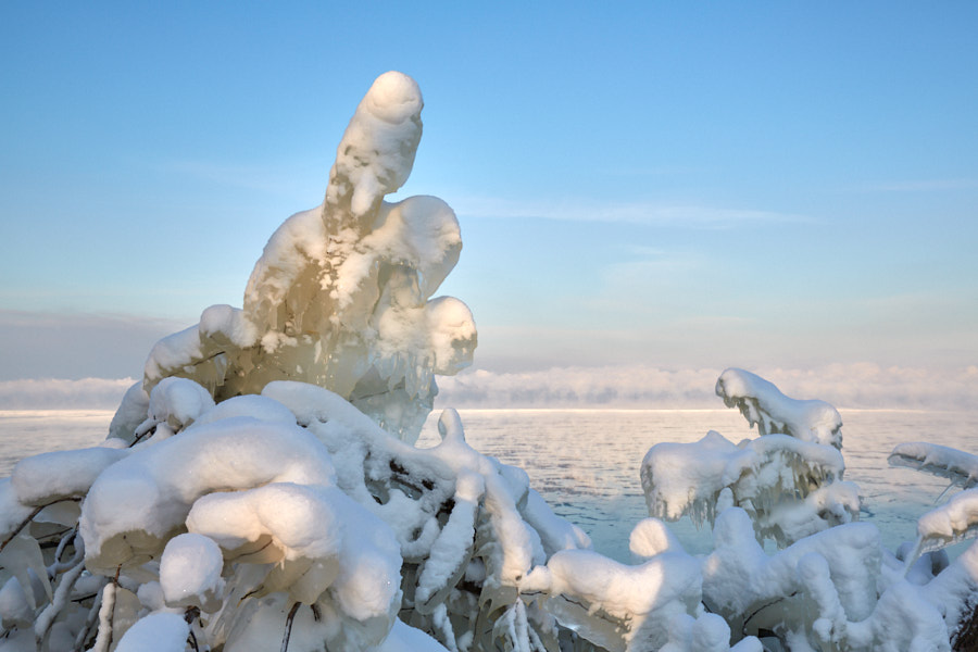 Päeva pilt Päeva pilt