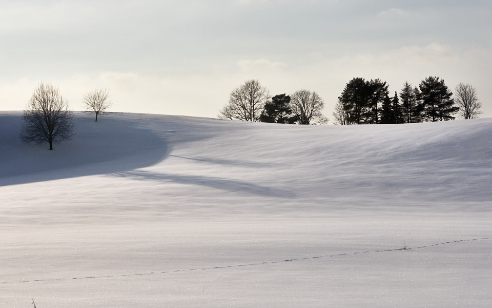 Päeva pilt Päeva pilt