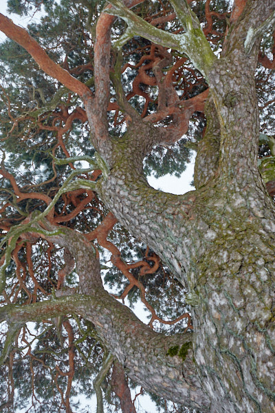 Päeva pilt Päeva pilt