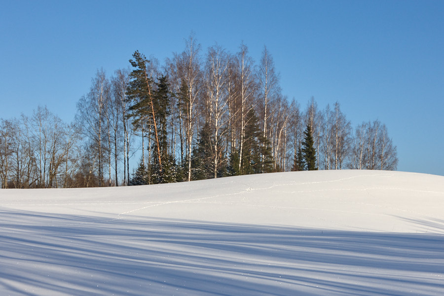 Päeva pilt Päeva pilt