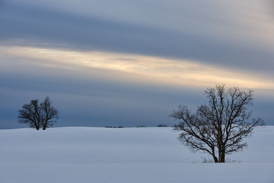 Päeva pilt Päeva pilt