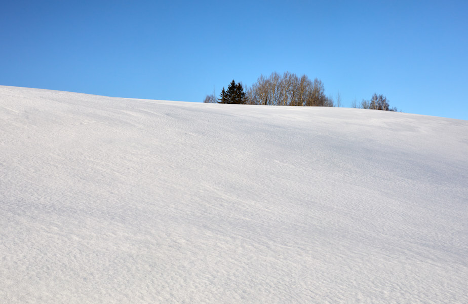 Päeva pilt Päeva pilt