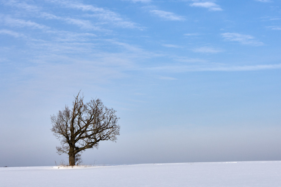 Päeva pilt Päeva pilt