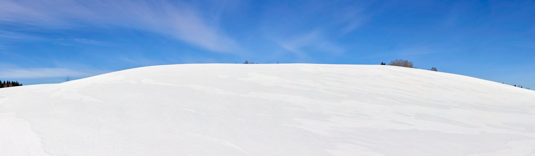 Päeva pilt Päeva pilt