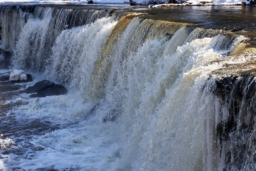 Päeva pilt Päeva pilt