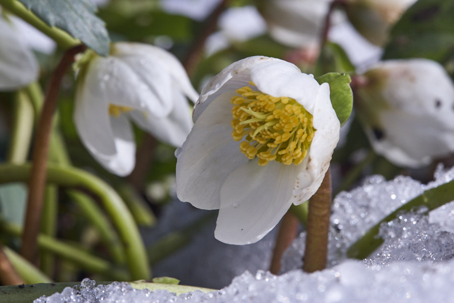 Päeva pilt Päeva pilt