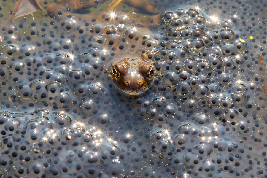 Päeva pilt Päeva pilt