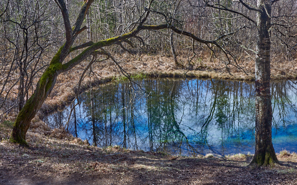 Päeva pilt Päeva pilt