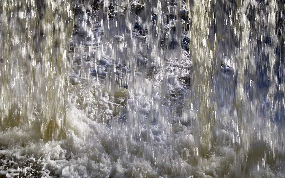 Päeva pilt Päeva pilt