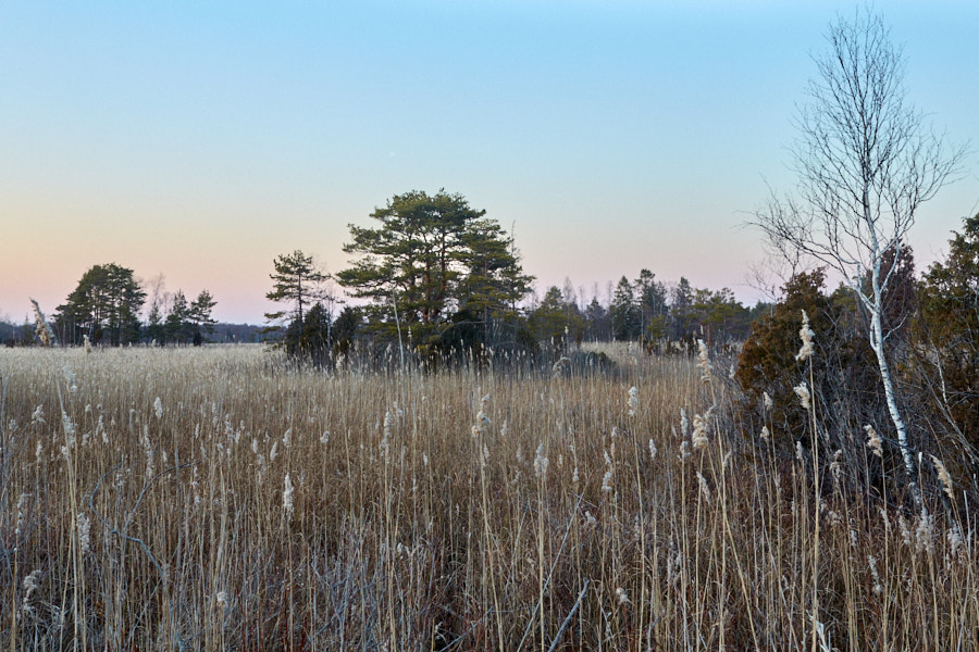 Päeva pilt Päeva pilt