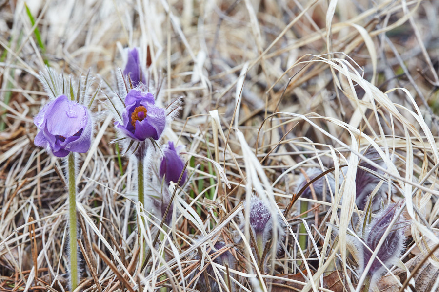 Päeva pilt Päeva pilt