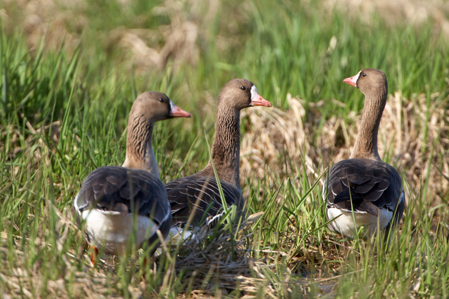 Päeva pilt Päeva pilt