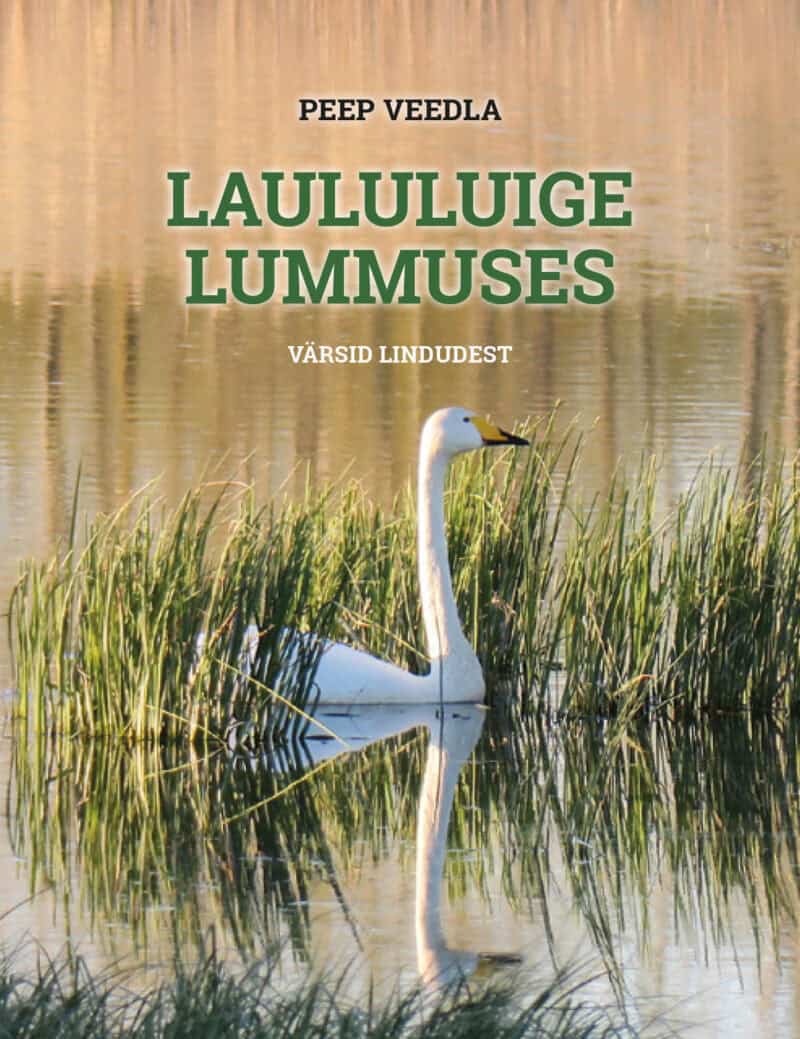 Raamat Laululuige lummuses