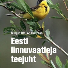 Eesti linnuvaatleja teejuht
