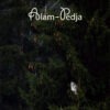 Alam-Pedja raamat