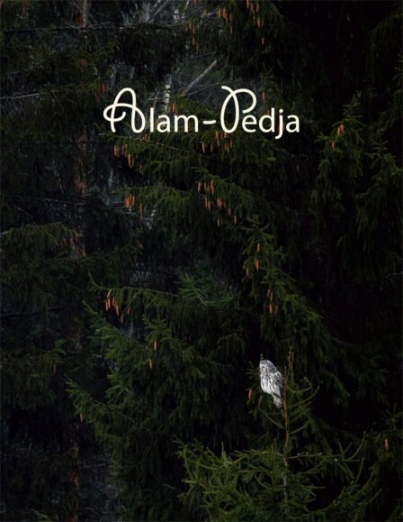 Alam-Pedja raamat