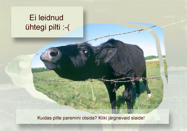 Loodusemehe pildipank: tagasivaade Eesti looduspilte talletava fotopanga sünniloole 3 Ei leidnud ühtegi pilti!