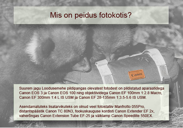 Loodusemehe pildipank: tagasivaade Eesti looduspilte talletava fotopanga sünniloole 4 Mis on peidus fotokotis?