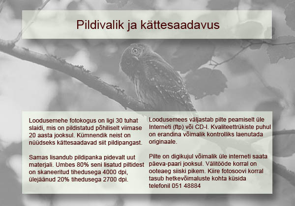 Loodusemehe pildipank: tagasivaade Eesti looduspilte talletava fotopanga sünniloole 6 Pildivalik ja kättesaadavus