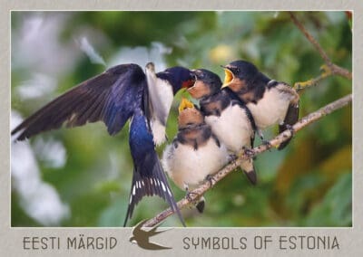 Postkaart "Suitsupääsuke"