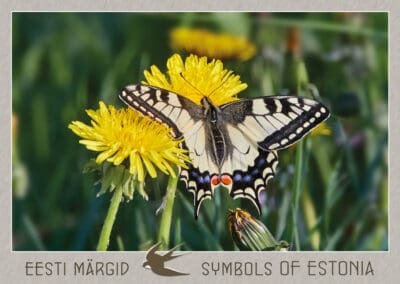 Postkaart "Pääsusaba"