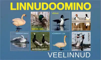 Linnudoomino – Veelinnud